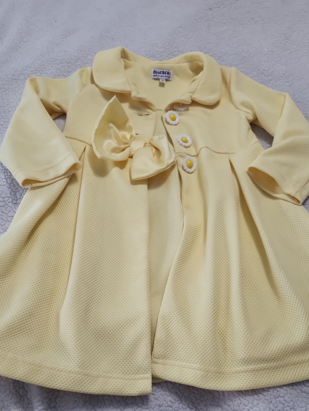Blueberi Boulevard dress and jacket set Size 4T